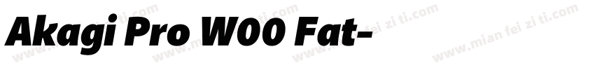 Akagi Pro W00 Fat字体转换